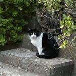 なんと！！[724]